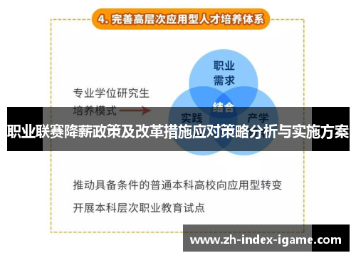 职业联赛降薪政策及改革措施应对策略分析与实施方案 职业联赛降薪政策及改革措施应对策略分析与实施方案