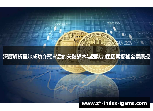 深度解析里尔成功夺冠背后的关键战术与团队力量因素揭秘全景展现