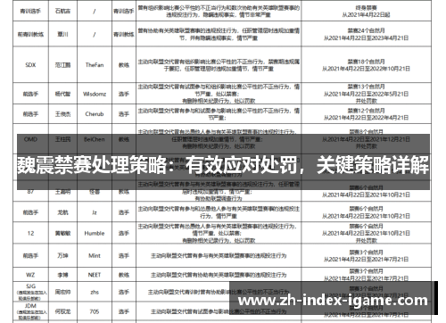 魏震禁赛处理策略：有效应对处罚，关键策略详解