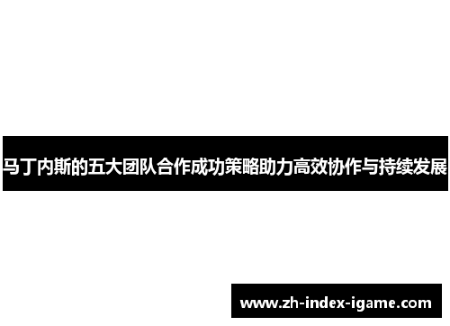 马丁内斯的五大团队合作成功策略助力高效协作与持续发展